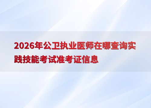 2026年公衛執業醫師實踐技能考試準考證查詢指南 渠道、步驟與技術交流